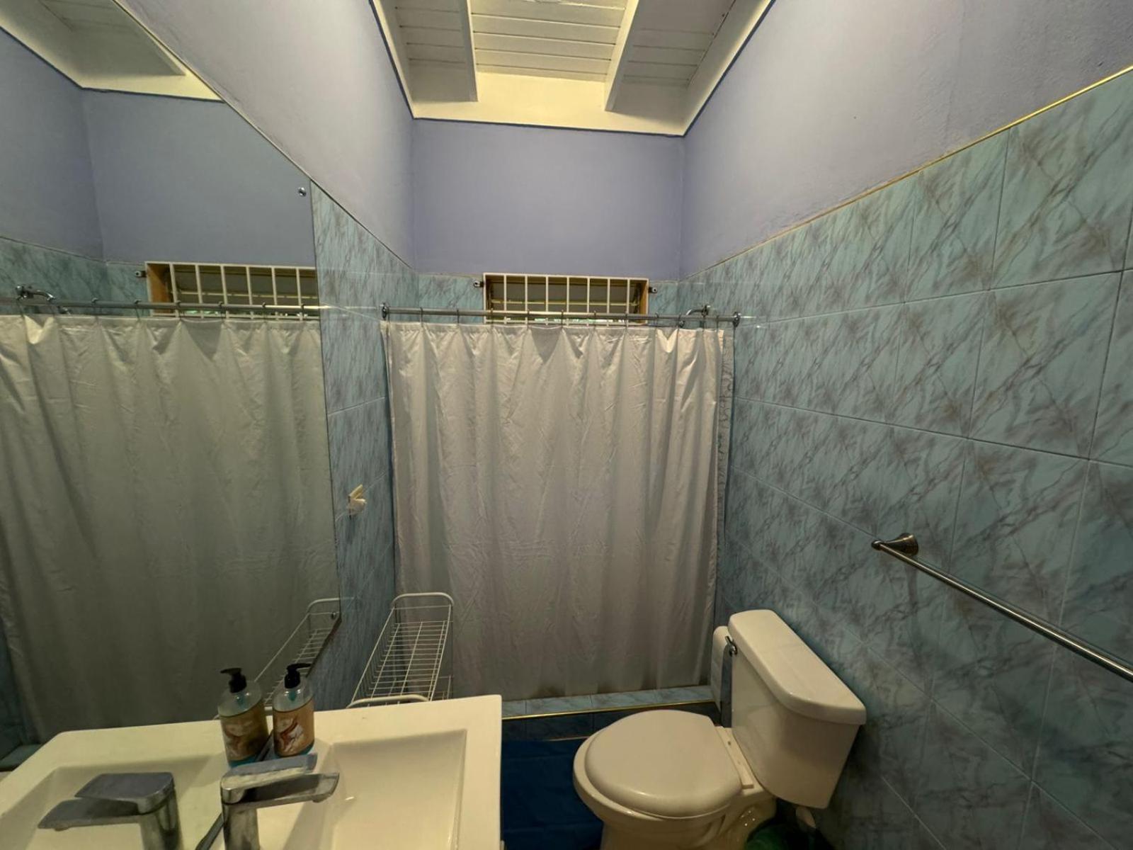 Shalom Suite 2, Manor Park Kingston Exterior foto